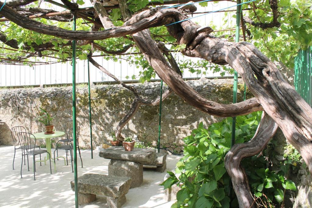 Апартаменти Casa Jardin De La Plata Баньос-де-Монтемайор Екстер'єр фото