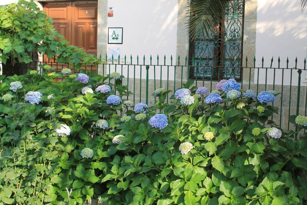 Апартаменти Casa Jardin De La Plata Баньос-де-Монтемайор Екстер'єр фото